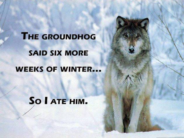 Happy Groundhog Day. 6 More Weeks of Winter Seem Likely
